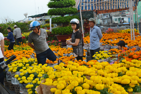Mua bán tại chợ hoa tại công viên Lạc Hồng.